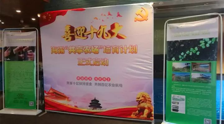 首页-PA集团有限公司官网入口