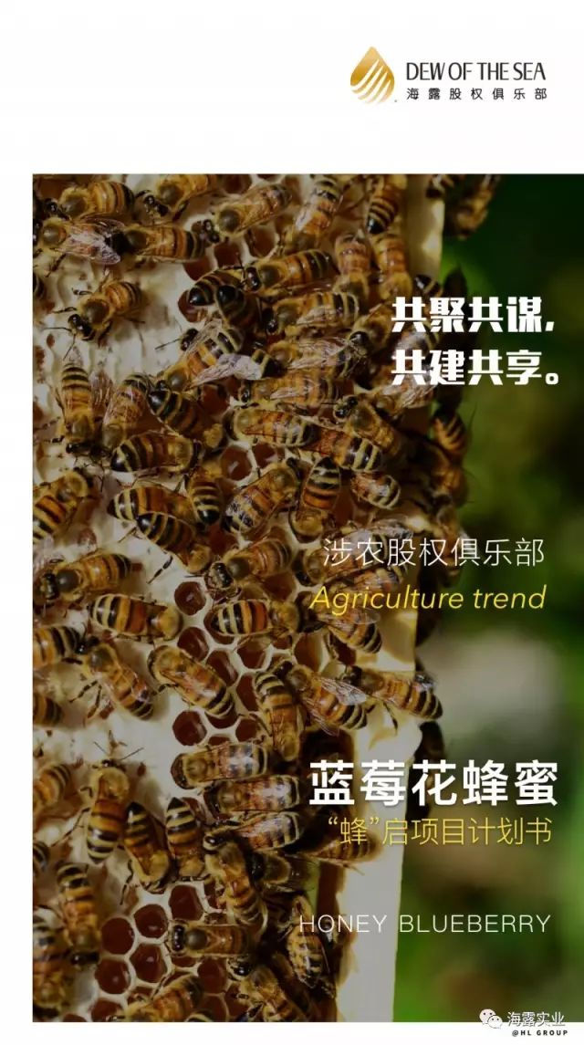 首页-PA集团有限公司官网入口