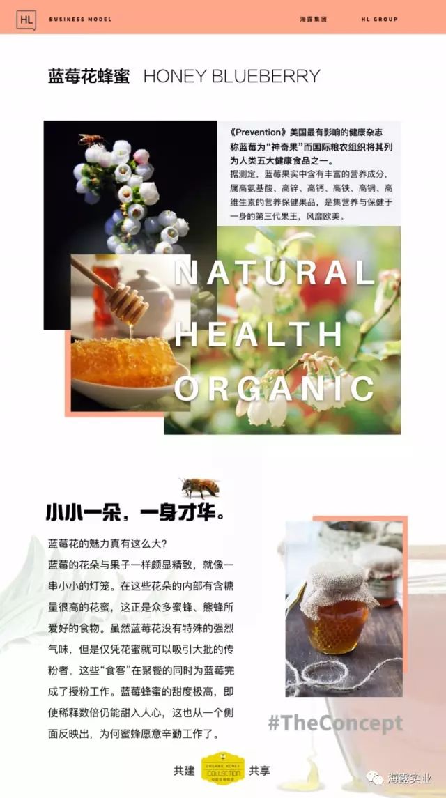 首页-PA集团有限公司官网入口