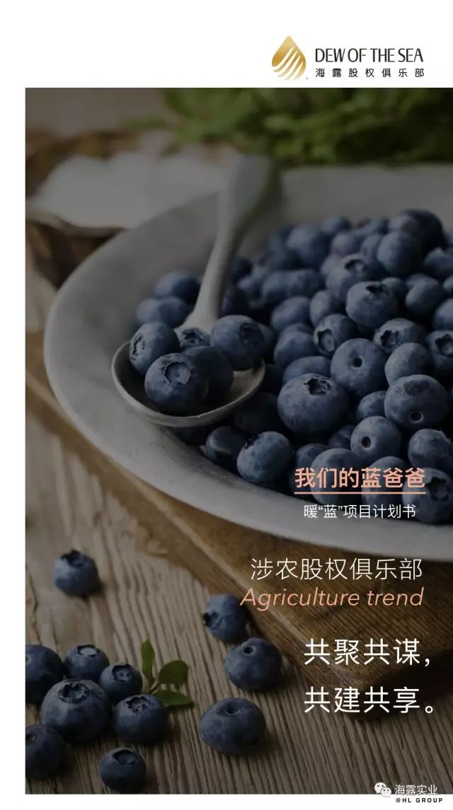 首页-PA集团有限公司官网入口