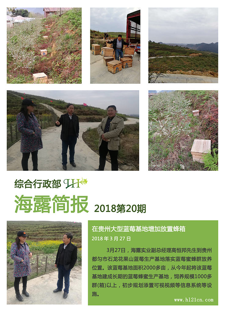 首页-PA集团有限公司官网入口