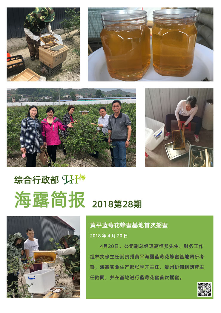 首页-PA集团有限公司官网入口