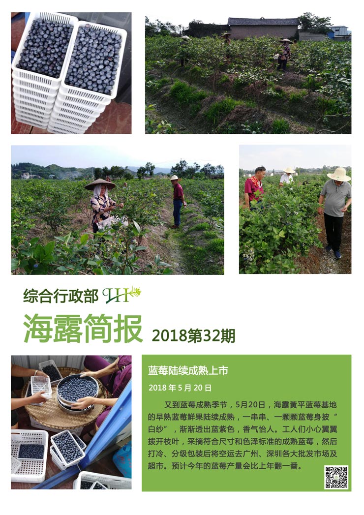 首页-PA集团有限公司官网入口