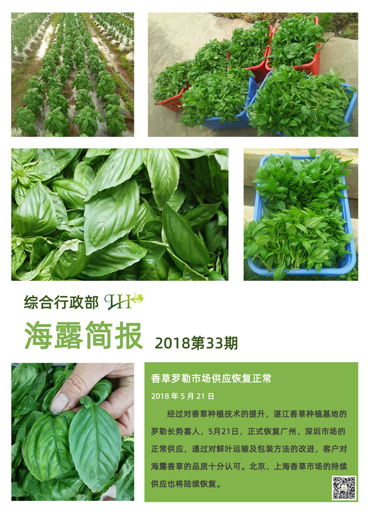 首页-PA集团有限公司官网入口