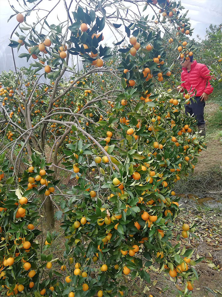 首页-PA集团有限公司官网入口
