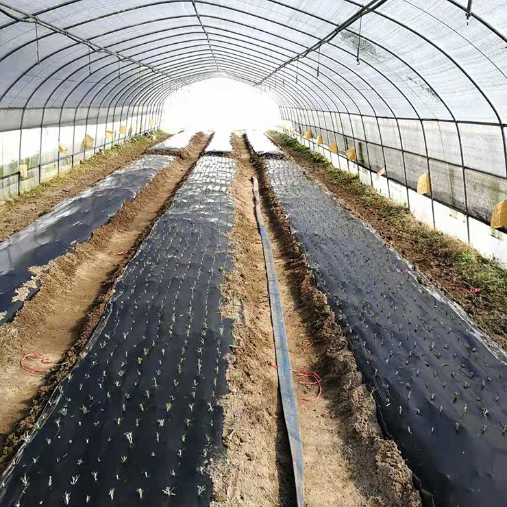 首页-PA集团有限公司官网入口