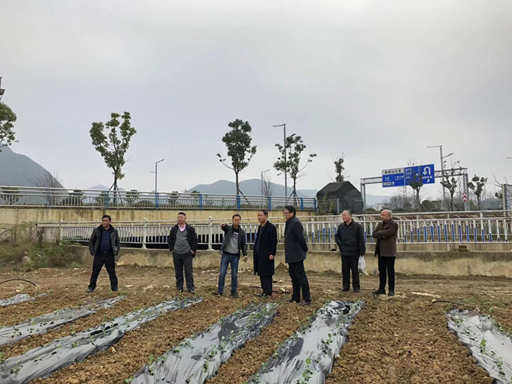 首页-PA集团有限公司官网入口