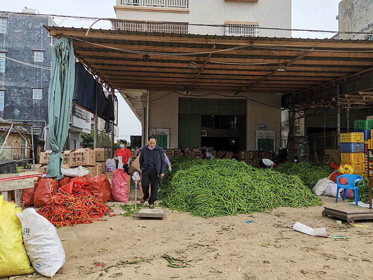 首页-PA集团有限公司官网入口