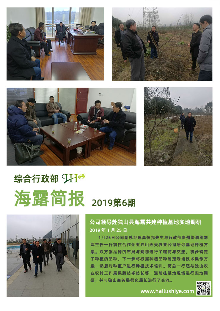 首页-PA集团有限公司官网入口