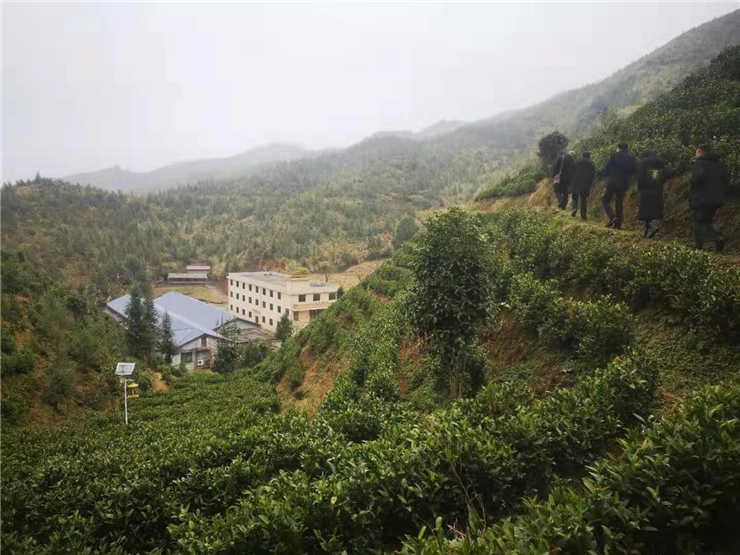 首页-PA集团有限公司官网入口