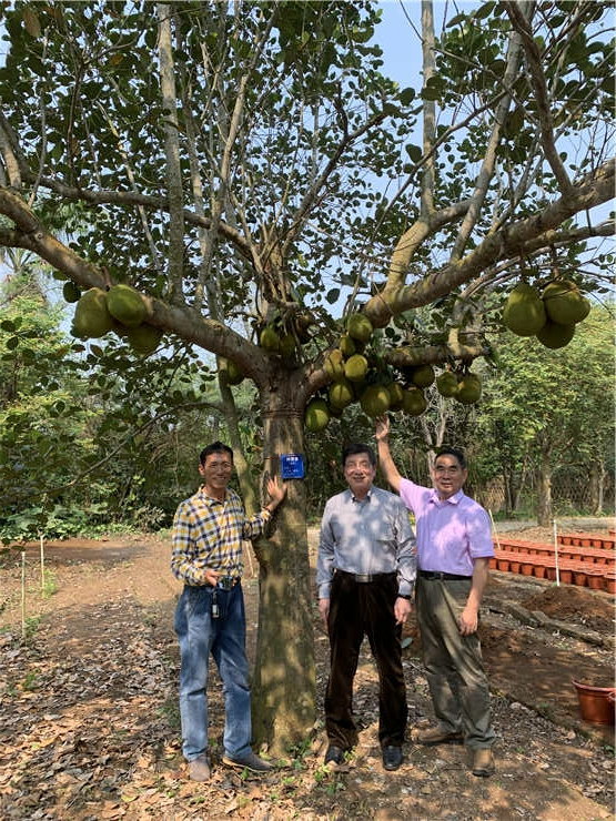 首页-PA集团有限公司官网入口