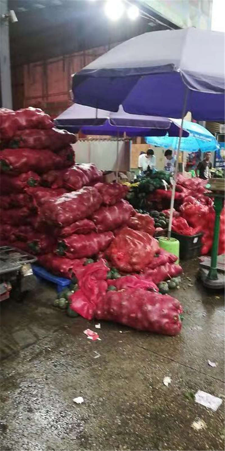 首页-PA集团有限公司官网入口