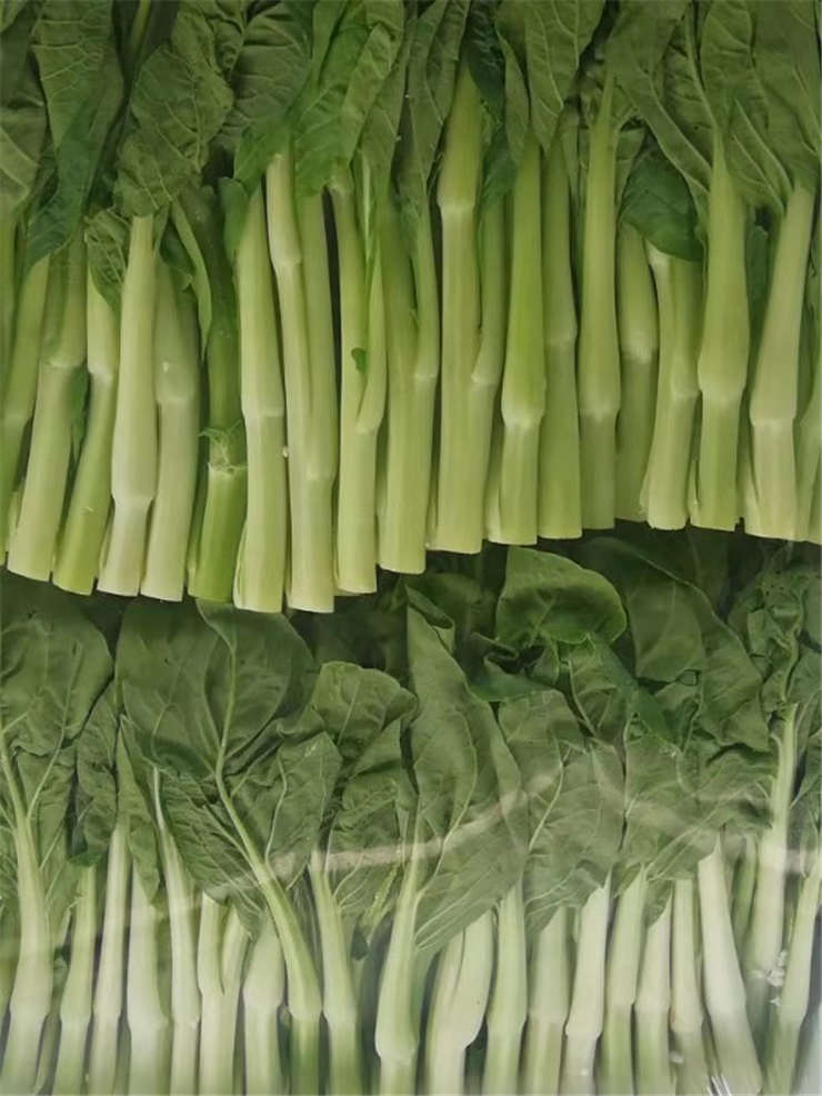 首页-PA集团有限公司官网入口