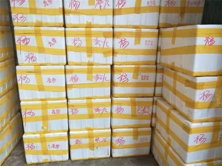 首页-PA集团有限公司官网入口