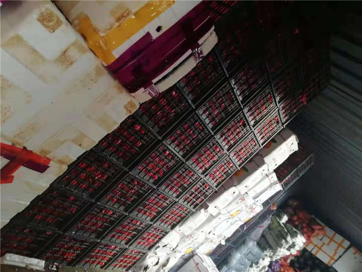 首页-PA集团有限公司官网入口