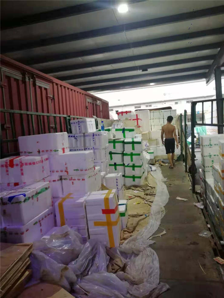 首页-PA集团有限公司官网入口