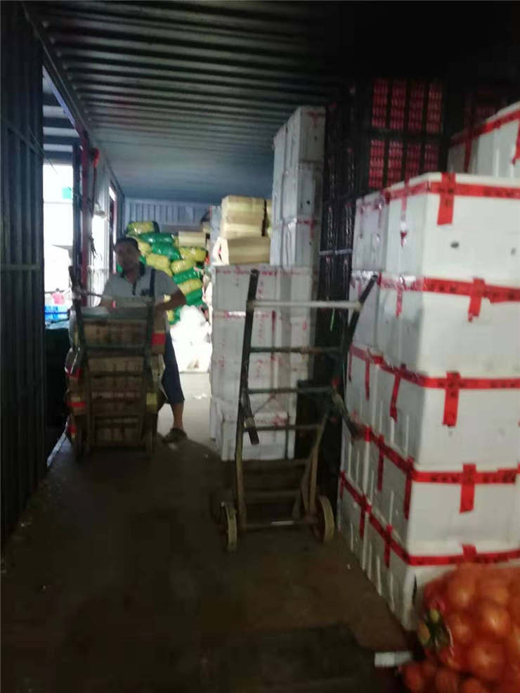 首页-PA集团有限公司官网入口