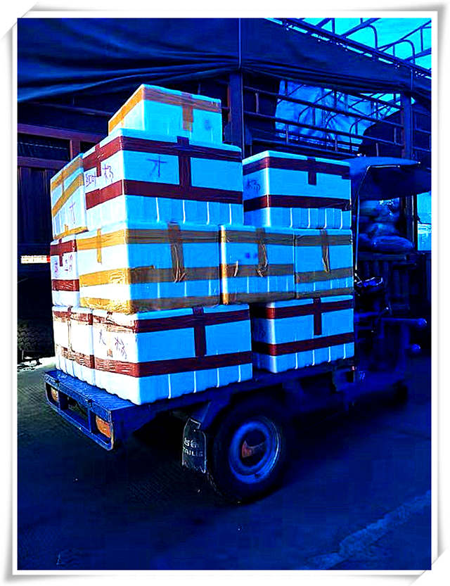 首页-PA集团有限公司官网入口