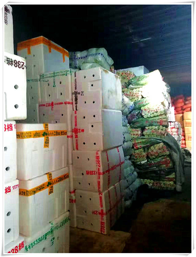 首页-PA集团有限公司官网入口