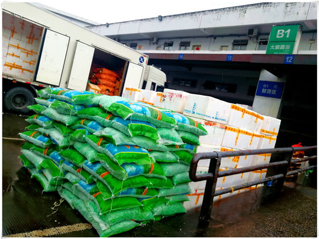 首页-PA集团有限公司官网入口