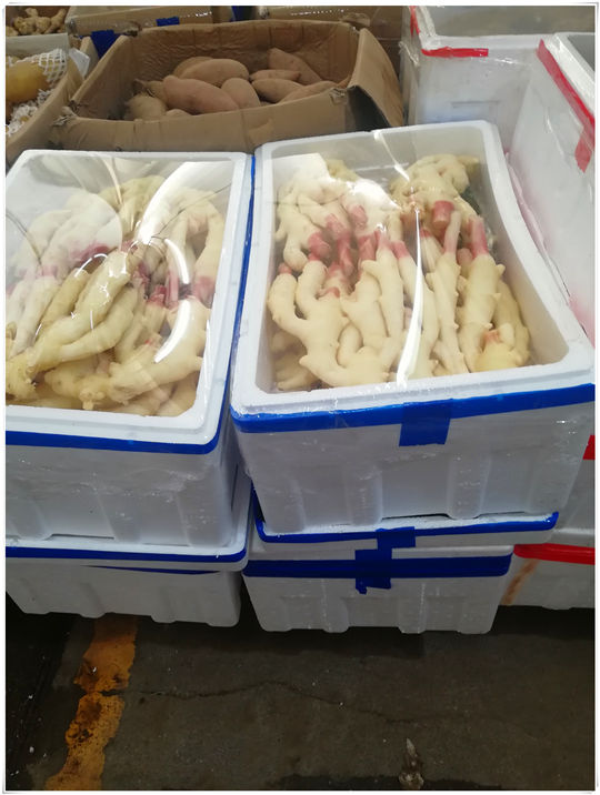 首页-PA集团有限公司官网入口