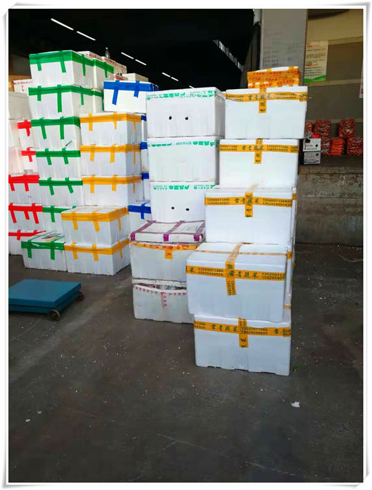 首页-PA集团有限公司官网入口