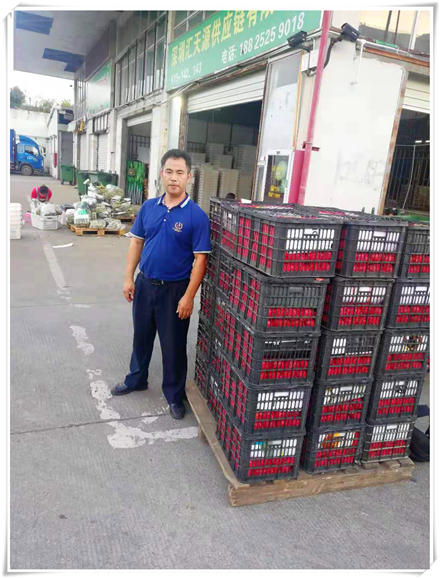 首页-PA集团有限公司官网入口