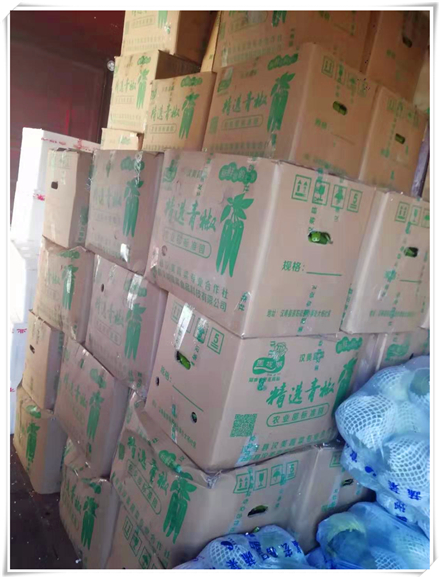 首页-PA集团有限公司官网入口