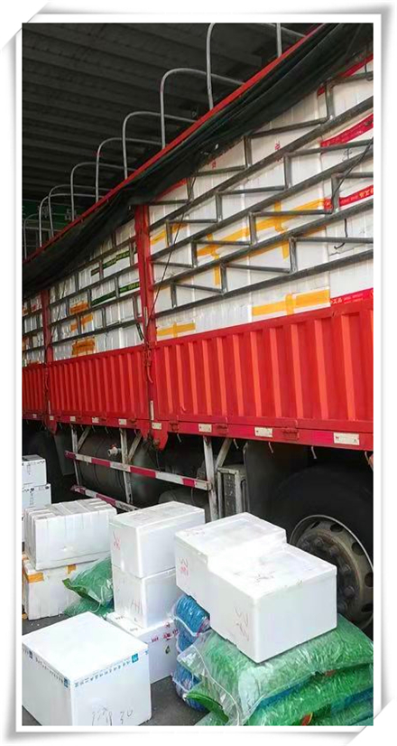 首页-PA集团有限公司官网入口