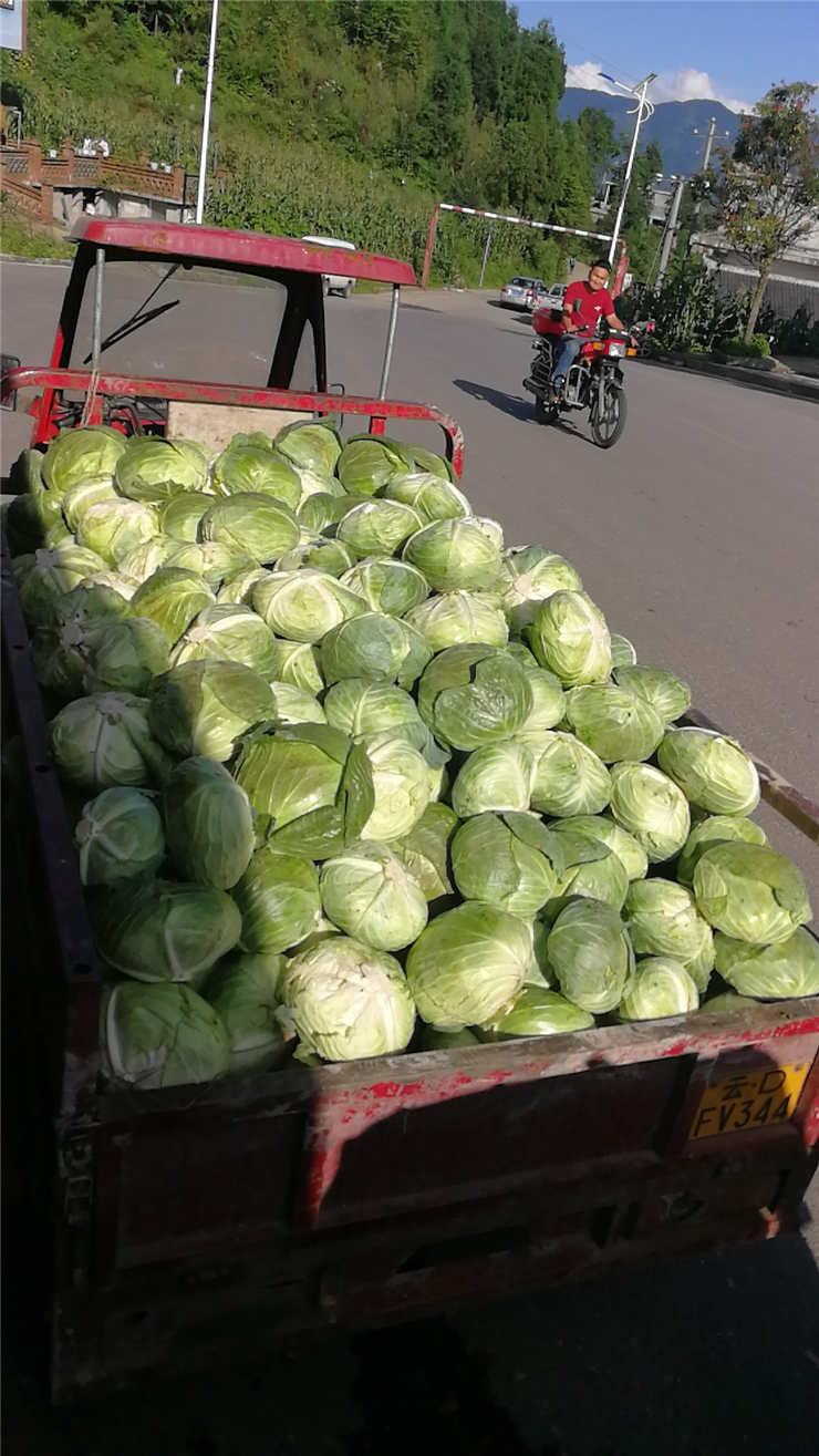 首页-PA集团有限公司官网入口