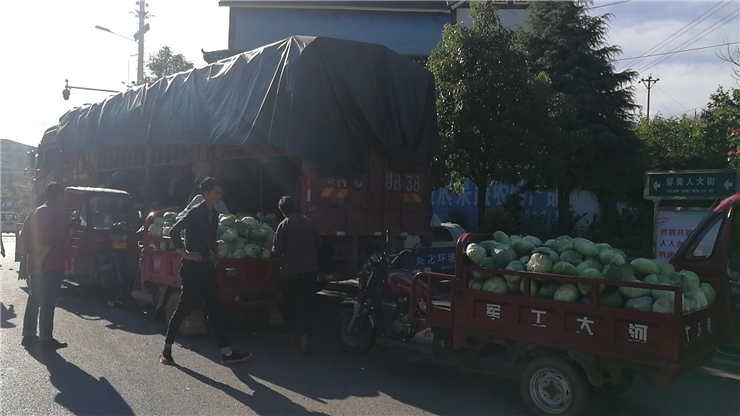 首页-PA集团有限公司官网入口