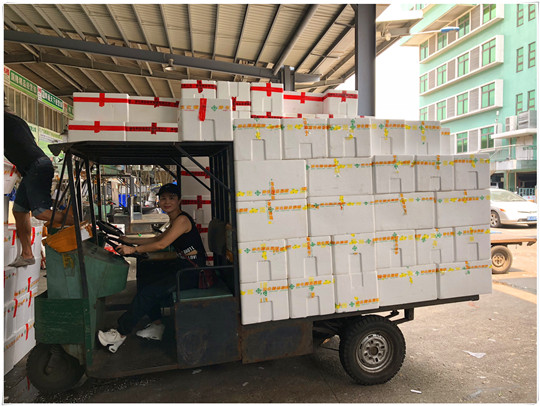 首页-PA集团有限公司官网入口