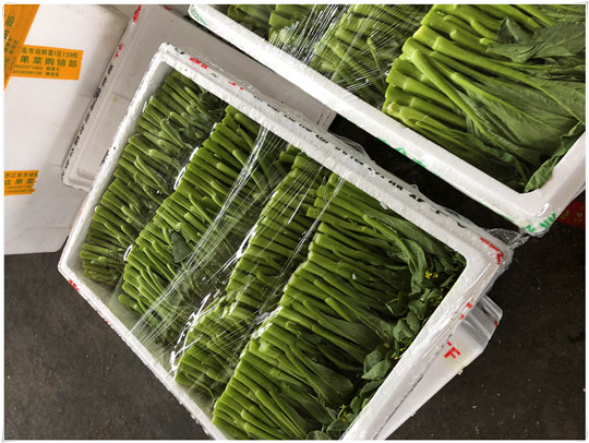 首页-PA集团有限公司官网入口