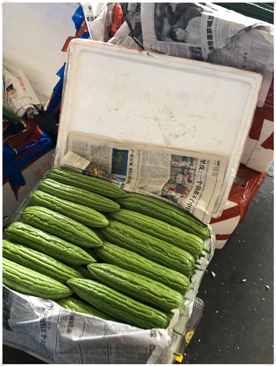 首页-PA集团有限公司官网入口