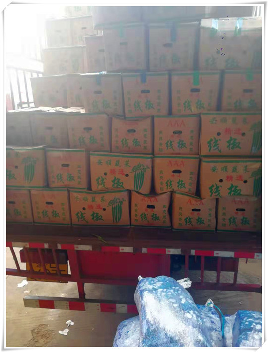 首页-PA集团有限公司官网入口