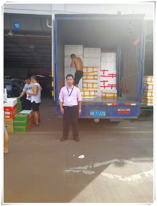 首页-PA集团有限公司官网入口