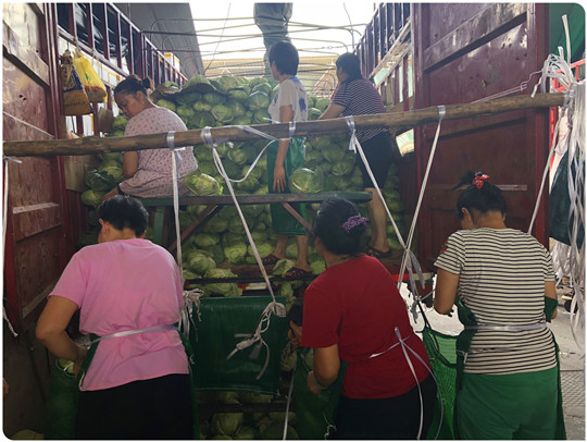 首页-PA集团有限公司官网入口