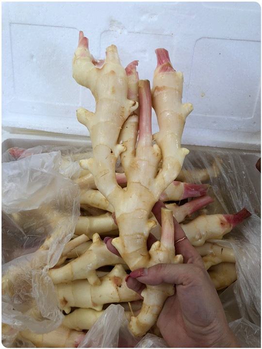 首页-PA集团有限公司官网入口