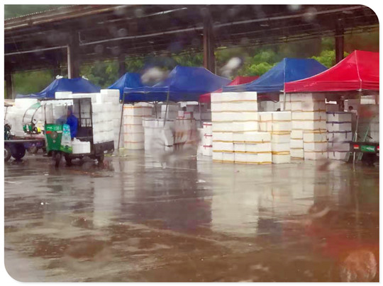 首页-PA集团有限公司官网入口