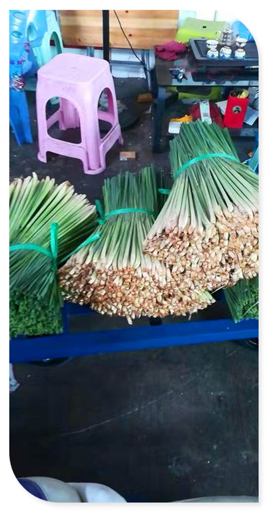 首页-PA集团有限公司官网入口