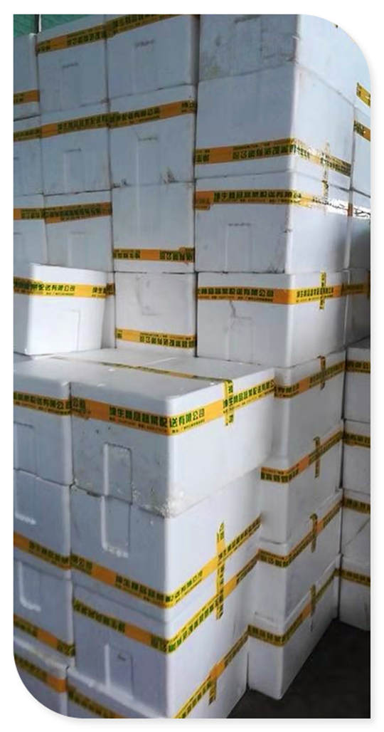 首页-PA集团有限公司官网入口