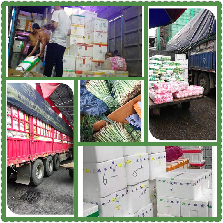 首页-PA集团有限公司官网入口