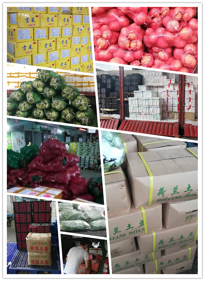 首页-PA集团有限公司官网入口