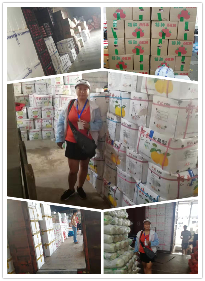 首页-PA集团有限公司官网入口