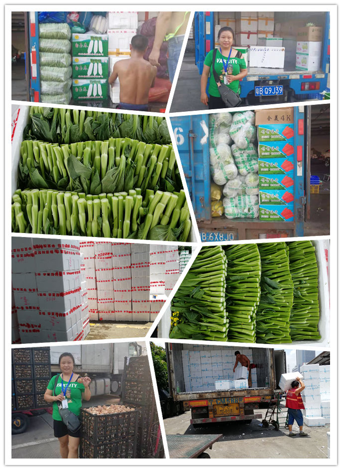 首页-PA集团有限公司官网入口