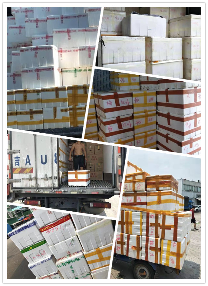 首页-PA集团有限公司官网入口