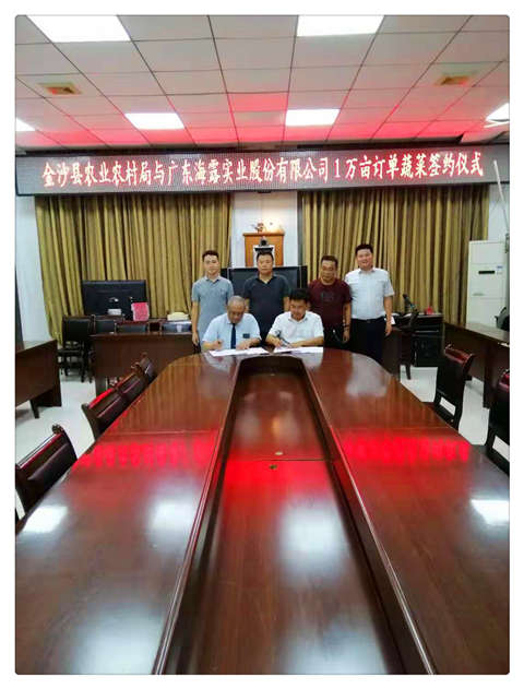 首页-PA集团有限公司官网入口