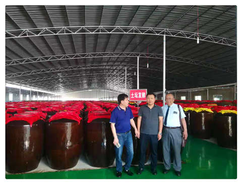 首页-PA集团有限公司官网入口