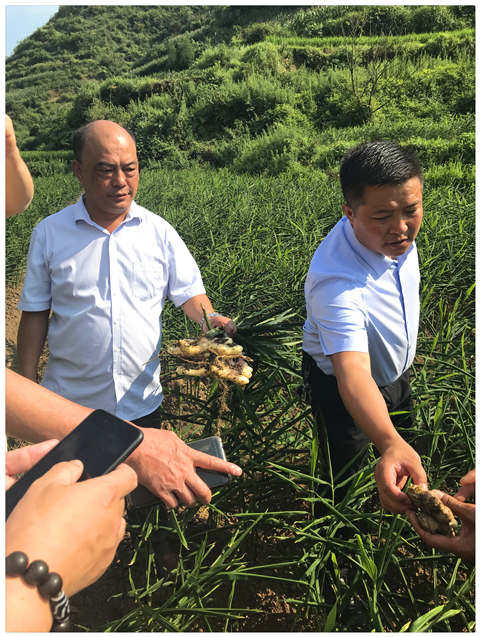 首页-PA集团有限公司官网入口