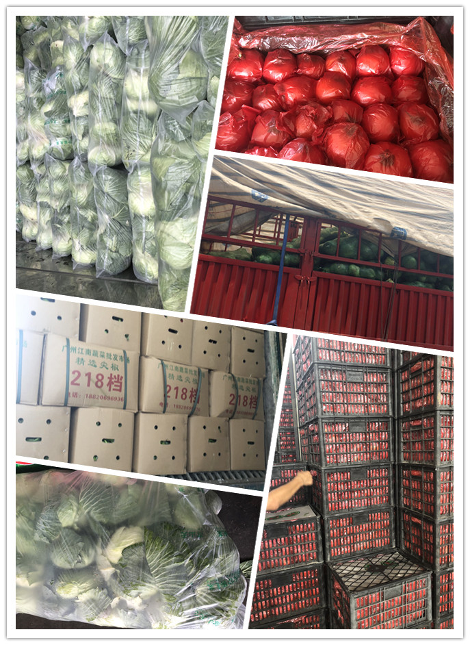 首页-PA集团有限公司官网入口